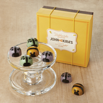 Spring Ladybugs & Bees
