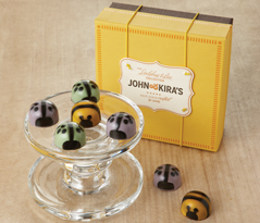 Spring Ladybugs & Bees