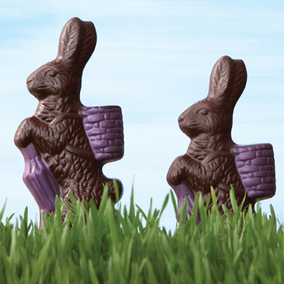 Chocolate Bunny