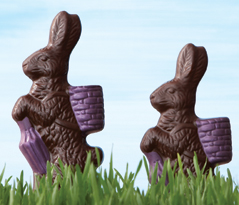 Chocolate Bunny