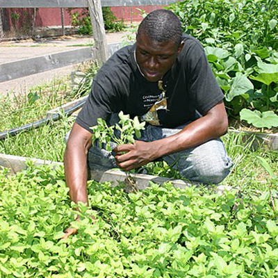 Urban Garden Program Donation