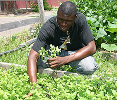 Urban Garden Program Donation