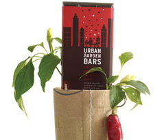 Urban Garden Bar - Chili Pepper 