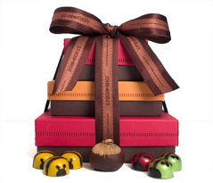 Ladybug + Fig + Bee Tower