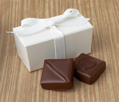  Chocolate Favor with Ribbon 2pc 