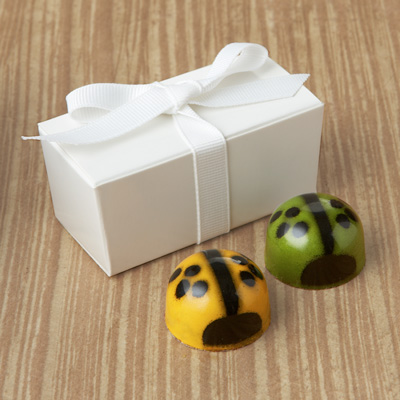  Ladybug Favor 2pc: Choice