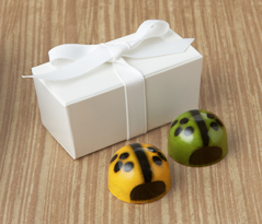 Ladybug Favors with Ribbon (2pc.)