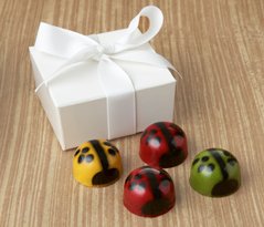  Ladybug Favor 4pc: Choice