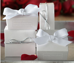  Ladybug Favor with Silver Cord 2pc 