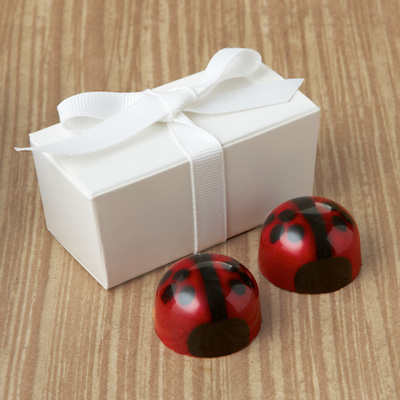  Lovebug Favor 2pc: Choice