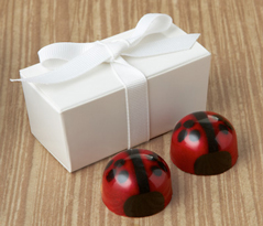  Lovebug Favor 2pc: Choice