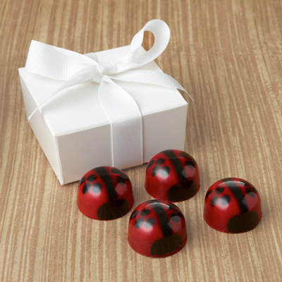 Lovebug Favor 4pc: Choice
