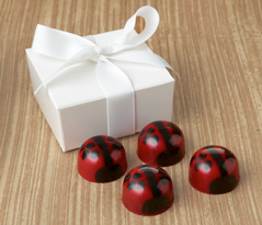 Lovebug Favor 4pc: Choice