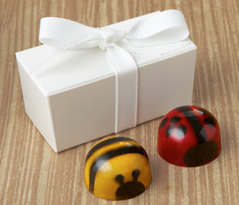  Bee My Lovebug Favor 2pc: Choice 
