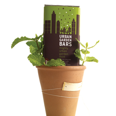Urban Garden Bar - Mighty Mint