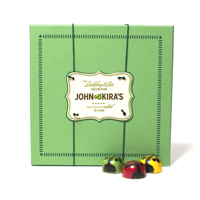  Chocolate Ladybug Medley 16pc