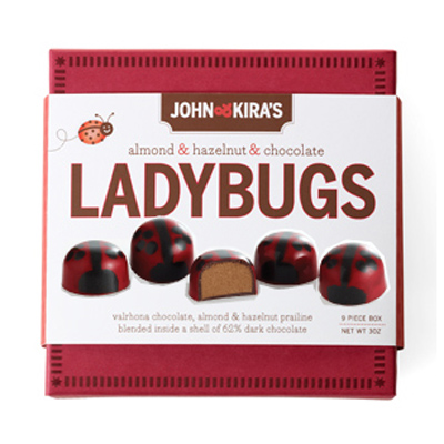 Praline Red Ladybug Chocolates 9pc