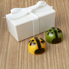 Ladybug + Bee Favors